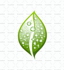 Tautropfen auf einem Blatt